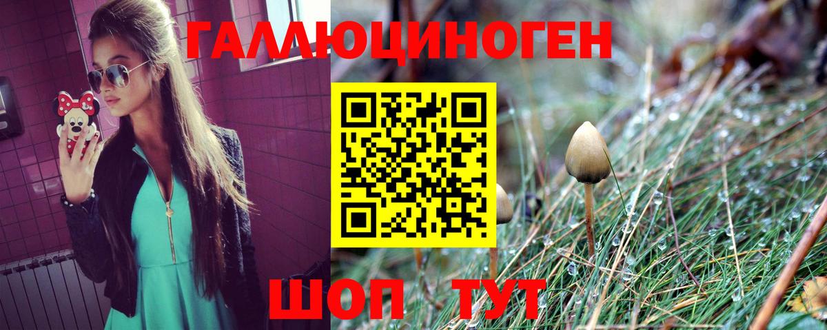 Галлюциногенные грибы Cubensis Клинцы
