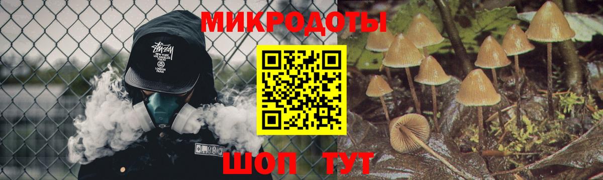 Галлюциногенные грибы GOLDEN TEACHER  Галлюциногенные грибы мицелий  магазин    Клинцы  Вход с VPN 